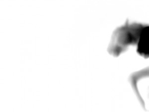 Josiane Keller - running horses black on white 5