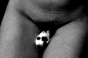 Josiane Keller - model and mouse