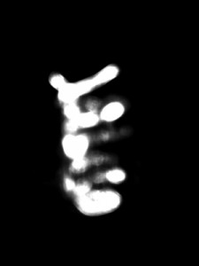 Josiane Keller - embryo light