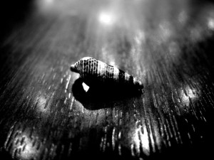 Josiane Keller - shell