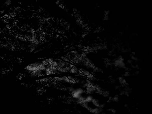 Josiane Keller - Gosho 3