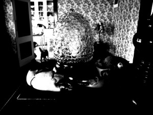 Josiane Keller - crab leg and bubbles 2013