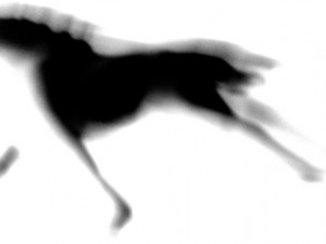 Josiane Keller - running horse black on white 2