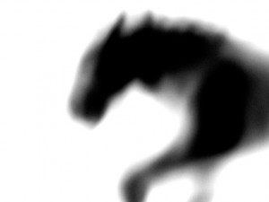 Josiane Keller - running horse black on white 3