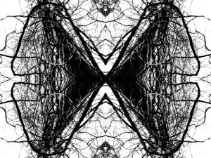 Josiane Keller - moth