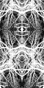 Josiane Keller - trees