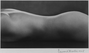 Edward Weston - Nude