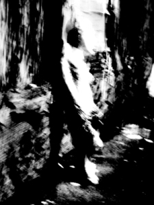 Josiane Keller - fallen lady 2