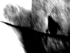 Josiane Keller - an undersea cable is severed and a cable repair ship has been mobilized