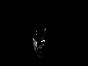 Josiane Keller - if I was black I might be crying
