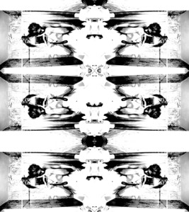 Josiane Keller - human vertebrae
