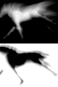 Josiane Keller - white horse-black horse