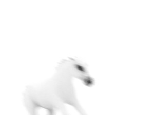 Josiane Keller - white horse 3