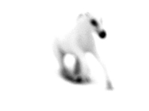 Josiane Keller - white horse 4
