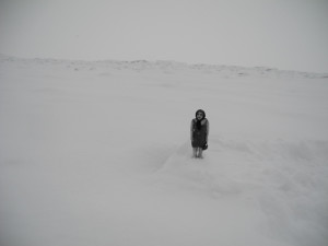 Josiane Keller - in eternal ice 10