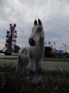 Josiane Keller - Fair Pony 2