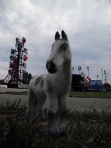 Josiane Keller - Fair Pony 4