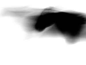 Josiane Keller - black horses running #88