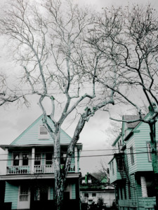 Josiane Keller - green yellow houses