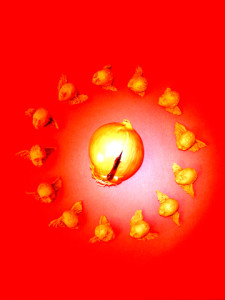 Josiane Keller - red onion yantra