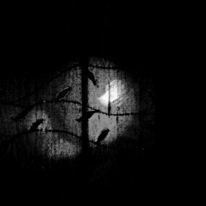 Josiane Keller - almost full moon through the window