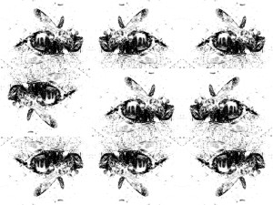 Josiane Keller - a very big ant is trying to drag a dead bumble bee