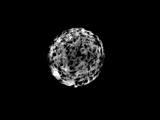 Josiane Keller - meteor S1 close-up a