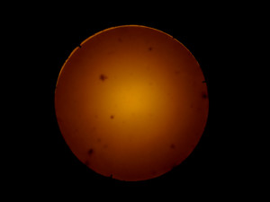 Josiane Keller - eclipse 2