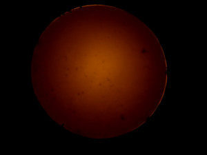Josiane Keller - eclipse 3