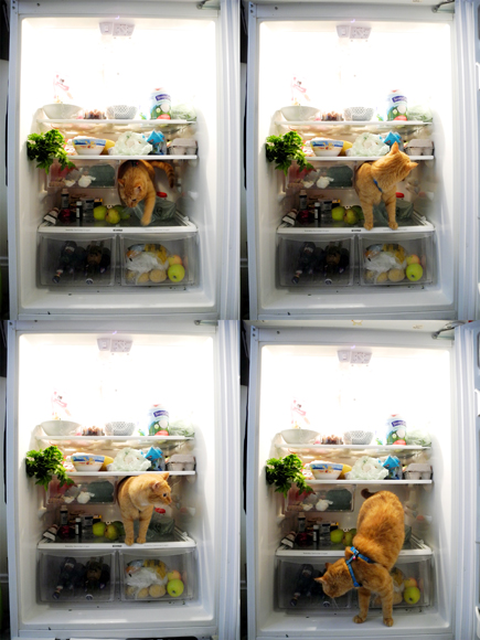 Josiane Keller - Simon in fridge