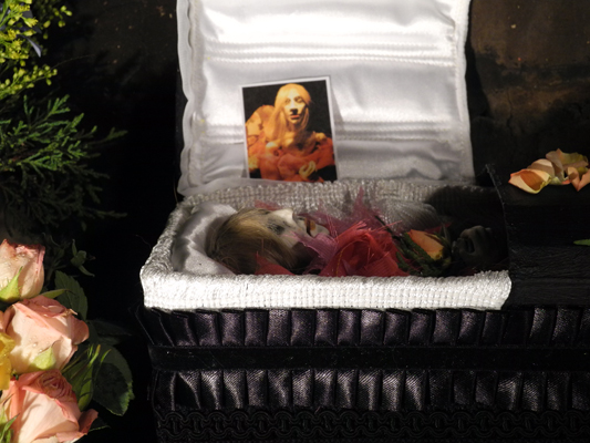 Josiane Keller - Billy in the casket