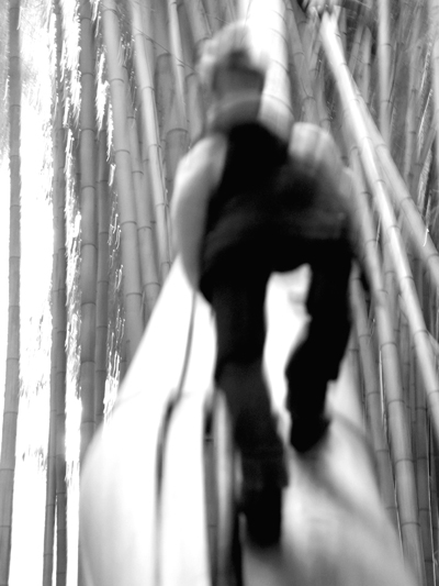 Sebastiao Com'Sal climbing the bamboo bridge - Credit Photo Courtesy of Sebastiao Com'Sal