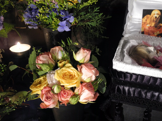 Josiane Keller - Billy in the casket 6 with roses
