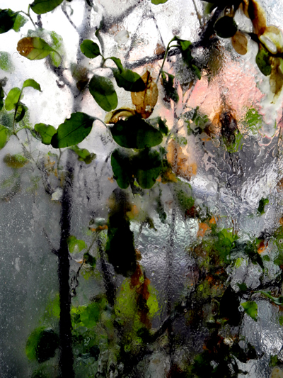 Josiane Keller - look through the window in the rain 2