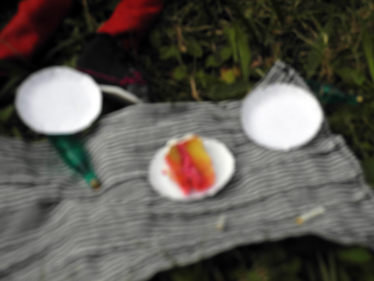 Josiane Keller - ChoCho's birthday picnic - cake, wine and cigarettes