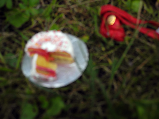 Josiane Keller - ChoCho's birthday picnic - birthday cake and Molly's bag 2