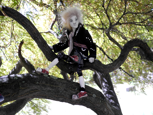 Josiane Keller - Starfish in a tree on the graveyard
