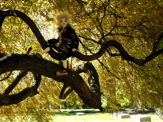 Josiane Keller - Starfish in a tree on the graveyard 2