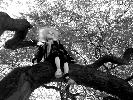Josiane Keller - Starfish in a tree on the graveyard 4