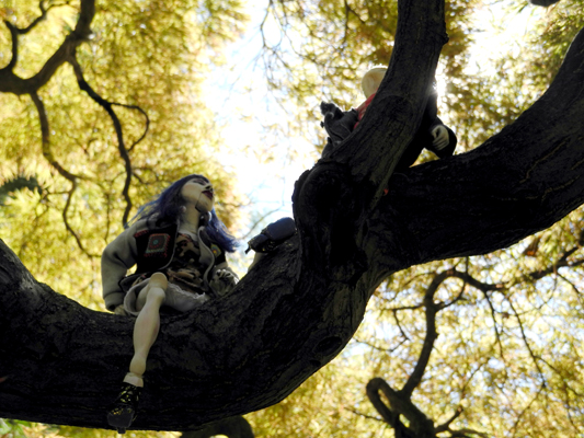  Josiane Keller - Molly sitting on a tree in the graveyard