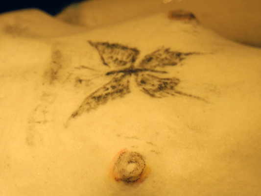 Josiane Keller - ChoCho's nipple and tattoo