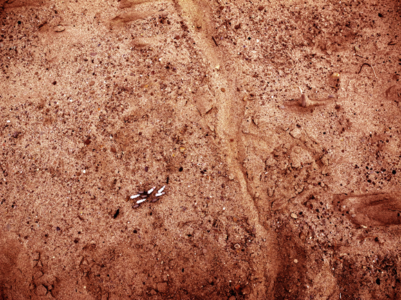 Josiane Keller - these dangerous times - Middle Eastern desert landscape #7476