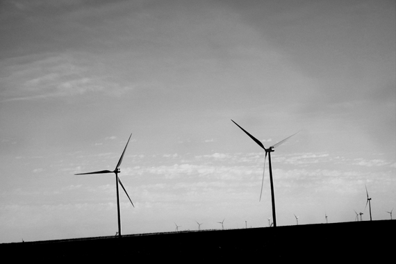 Edie Weisslechner - wind turbines